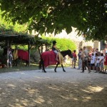 BATTESIMO DELLA SELLA FESTA MEDIEVALE (5)